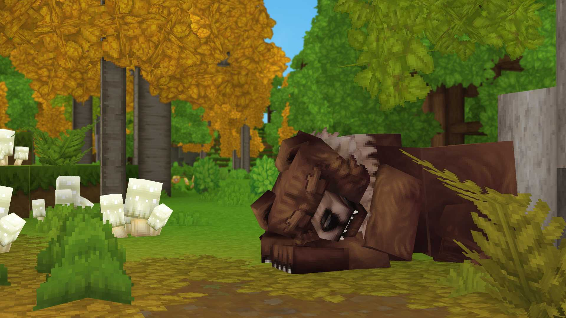 Urso descansando na floresta de outono